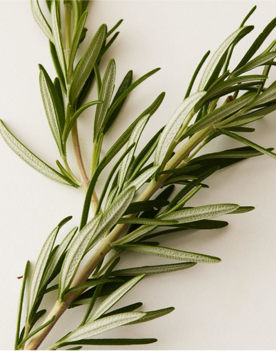 Rosemary + Arginine